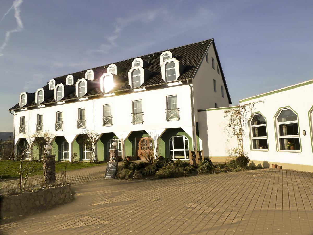 Hotel Zur Werra Schmalkalden Exteriör bild